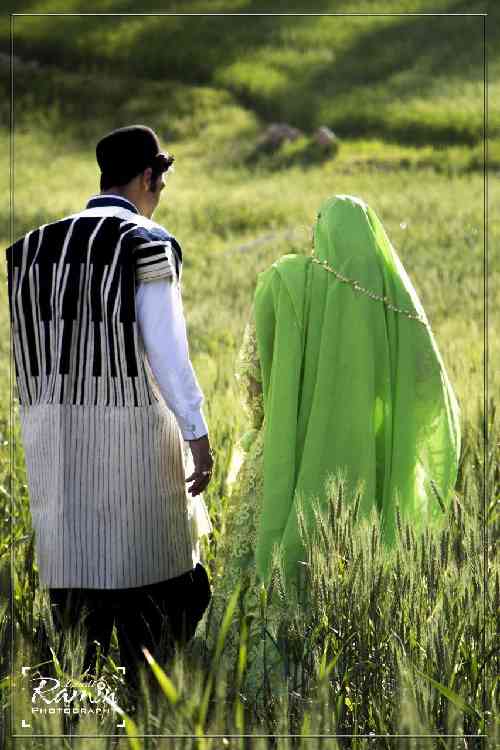 نیما کیانی هری صنم